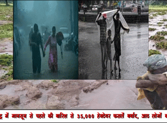 महाराष्ट्र में मानसून से पहले की बारिश से 35,000 हेक्टेयर फसलें बर्बाद, आठ लोगों की मौत