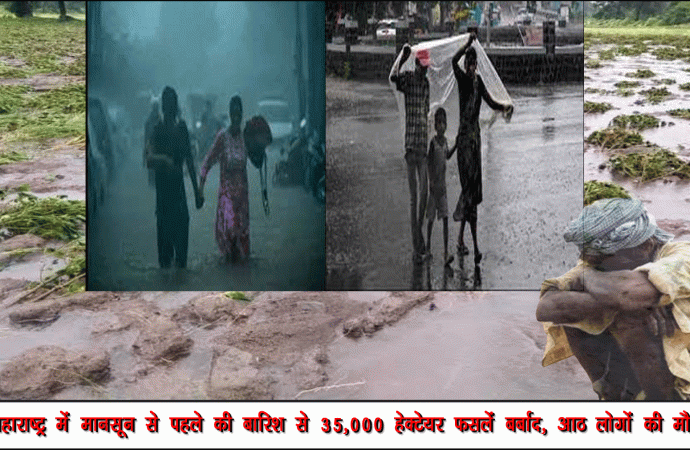 महाराष्ट्र में मानसून से पहले की बारिश से 35,000 हेक्टेयर फसलें बर्बाद, आठ लोगों की मौत