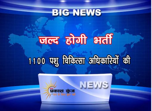 1100 पशु चिकित्सा अधिकारियों की जल्द होगी भर्ती
