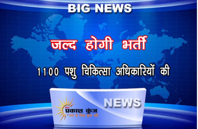 1100 पशु चिकित्सा अधिकारियों की जल्द होगी भर्ती