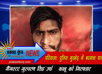 पटियाला:पुलिस मुठभेड़ में बदमाश घायल