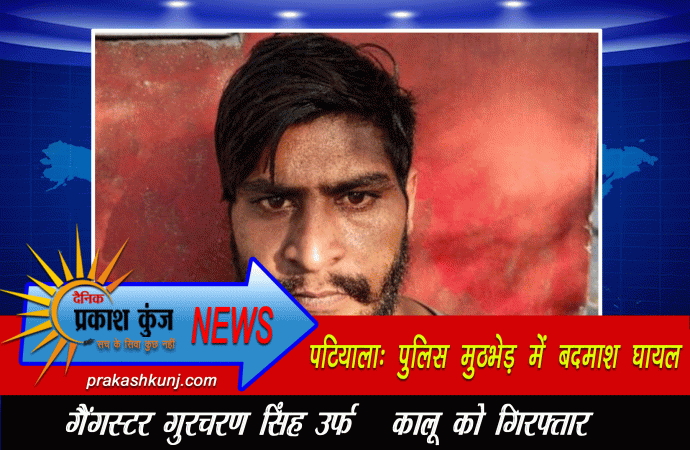 पटियाला:पुलिस मुठभेड़ में बदमाश घायल