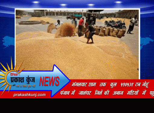 जालंधर जिले में 510539 टन गेहूं की आमद