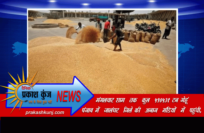 जालंधर जिले में 510539 टन गेहूं की आमद