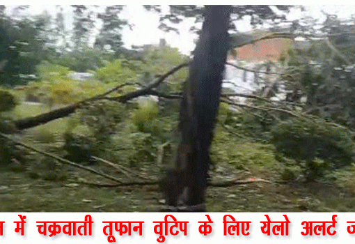 चीन में चक्रवाती तूफान वुटिप के लिए येलो अलर्ट जारी