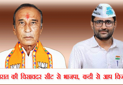 गुजरात की विसावदर सीट से भाजपा, कडी से आप विजयी