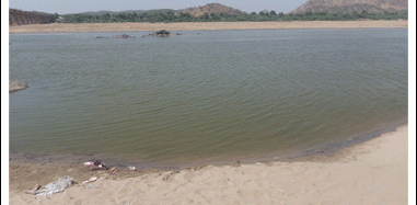 टोंक में बनास नदी में डूबने से आठ युवकों की मौत