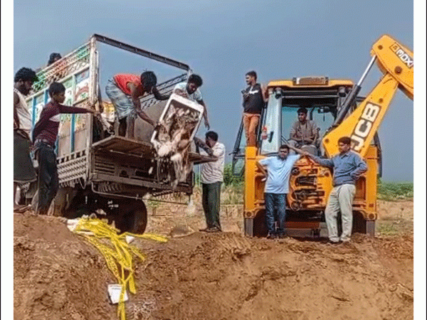 मत्स्य विभाग के निरीक्षण दल ने 1200 किलो मछलियों से भरी पिकअप को किया जब्त