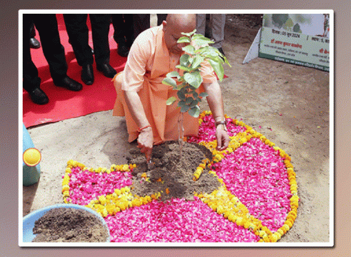 वृक्षारोपण महाअभियान: सुबह दस बजे तक सात करोड़ से अधिक पौधे रोपे गये