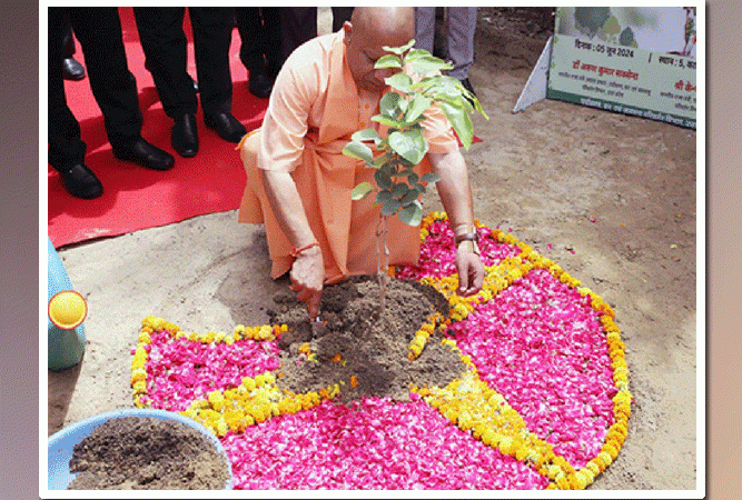वृक्षारोपण महाअभियान: सुबह दस बजे तक सात करोड़ से अधिक पौधे रोपे गये