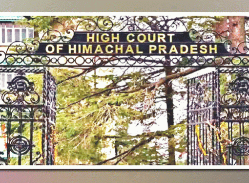 हिमाचल उच्च न्यायालय ने चालक को ज़मानत दी, कहा कि यात्री के प्रतिबंधित सामान के लिए वह ज़िम्मेदार नहीं