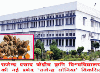 डॉ. राजेन्द्र प्रसाद केंद्रीय कृषि विश्वविद्यालय ने हल्दी की नई प्रभेद ‘राजेन्द्र सोनिया’ विकसित की