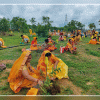 गायत्री परिवार गुरू पूर्णिमा से जन्माष्टमी तक चलाएगा वृहद वृक्षारोपण अभियान