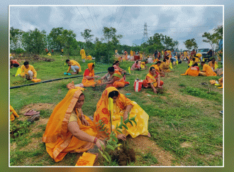 गायत्री परिवार गुरू पूर्णिमा से जन्माष्टमी तक चलाएगा वृहद वृक्षारोपण अभियान